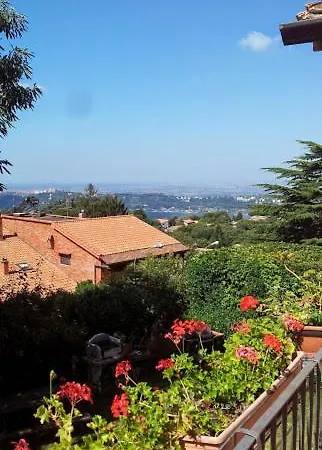 Panorama *